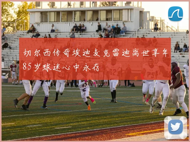 切尔西传奇埃迪麦克雷迪离世享年85岁球迷心中永存