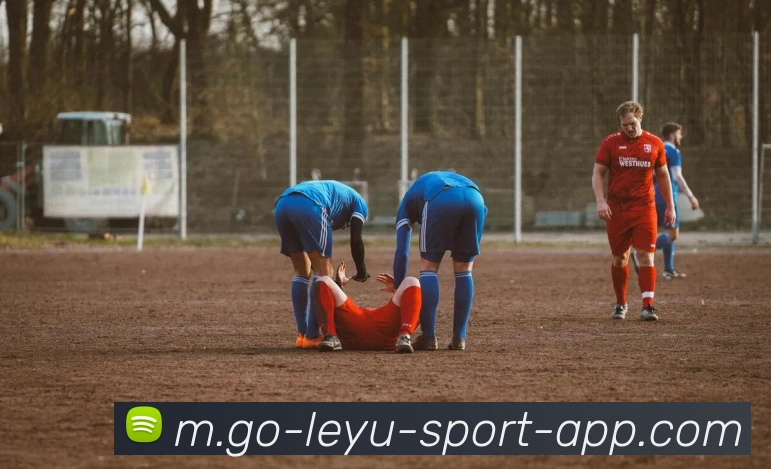 乐鱼体育发展历程